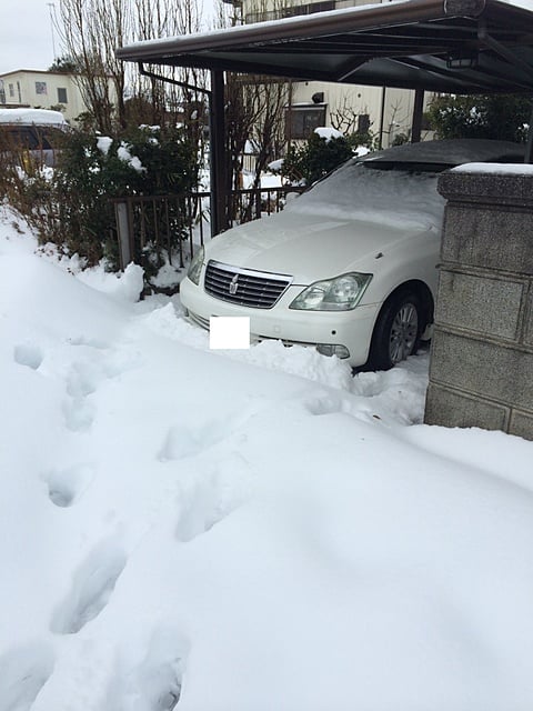 車庫の前にも