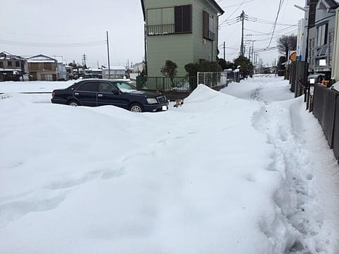 自分の車は完全封鎖